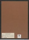 Triceratium murconatum A. Schm. (de-Toni-Nr.: Genus 140, Species 3997) Zeichnungen Sammlung Grunow Mappe 03991 (Herbarium_W_Grunow_drawings_Folder_03991)